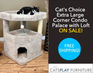 (image for) Cats Play Cat Furniture